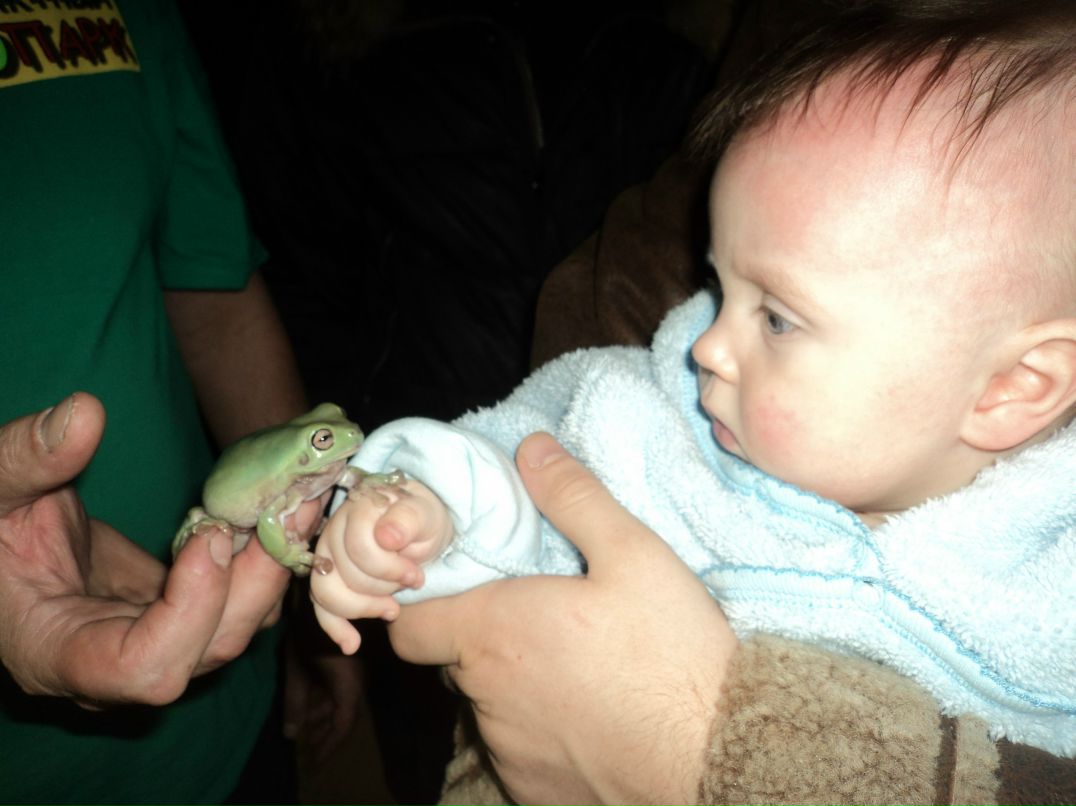 Вячеслав Трофимовский | Санкт-Петербург