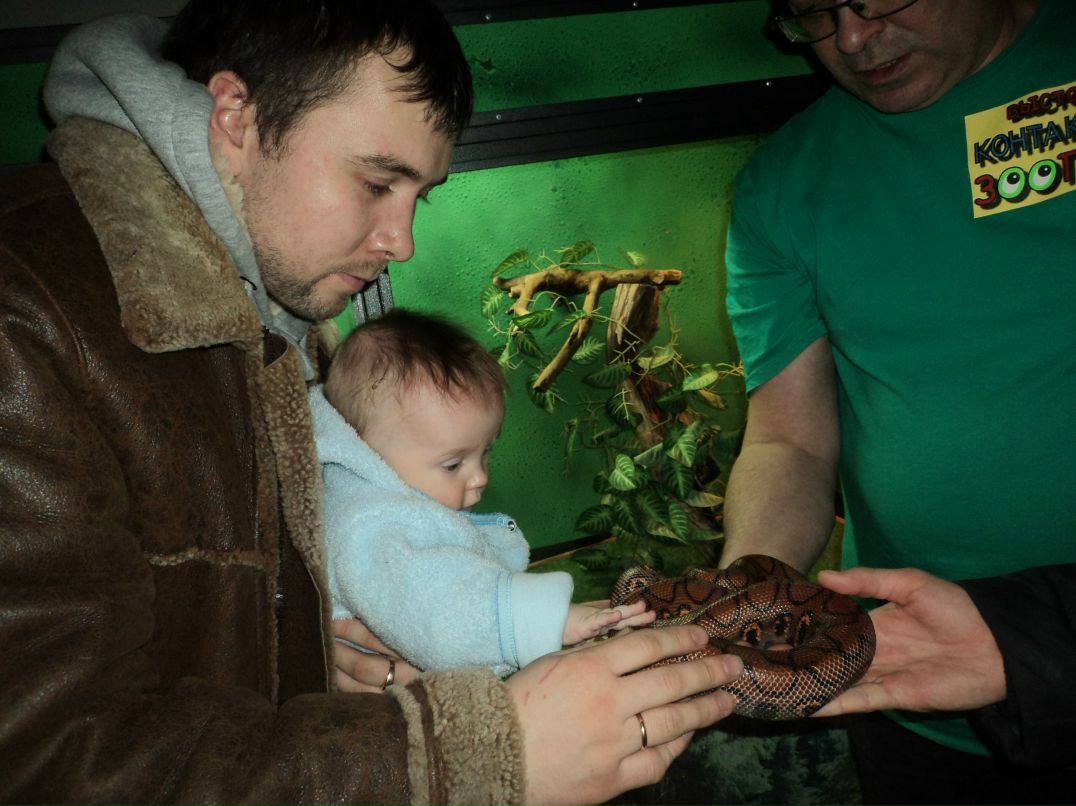 Вячеслав Трофимовский | Санкт-Петербург