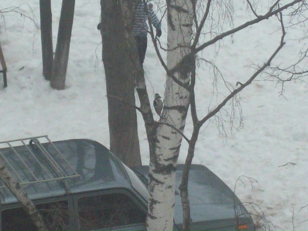 Андрей Лейчёнок | Кострома