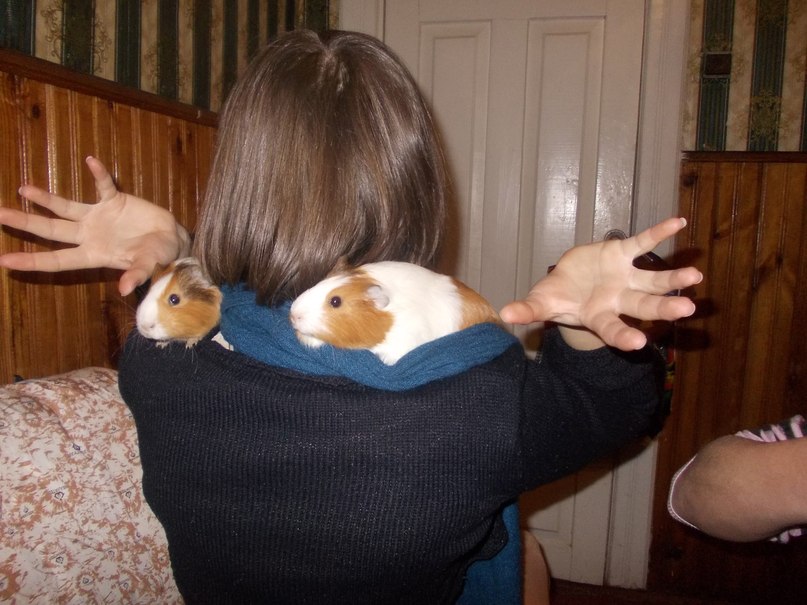 Катруся Тищук * «лунная» девушка * | Ковель