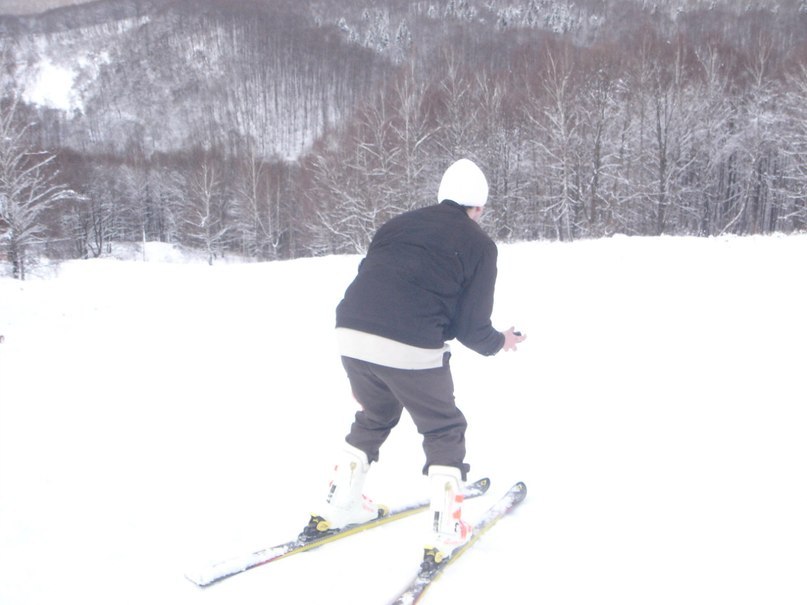 Дмитрий Доний | Николаев