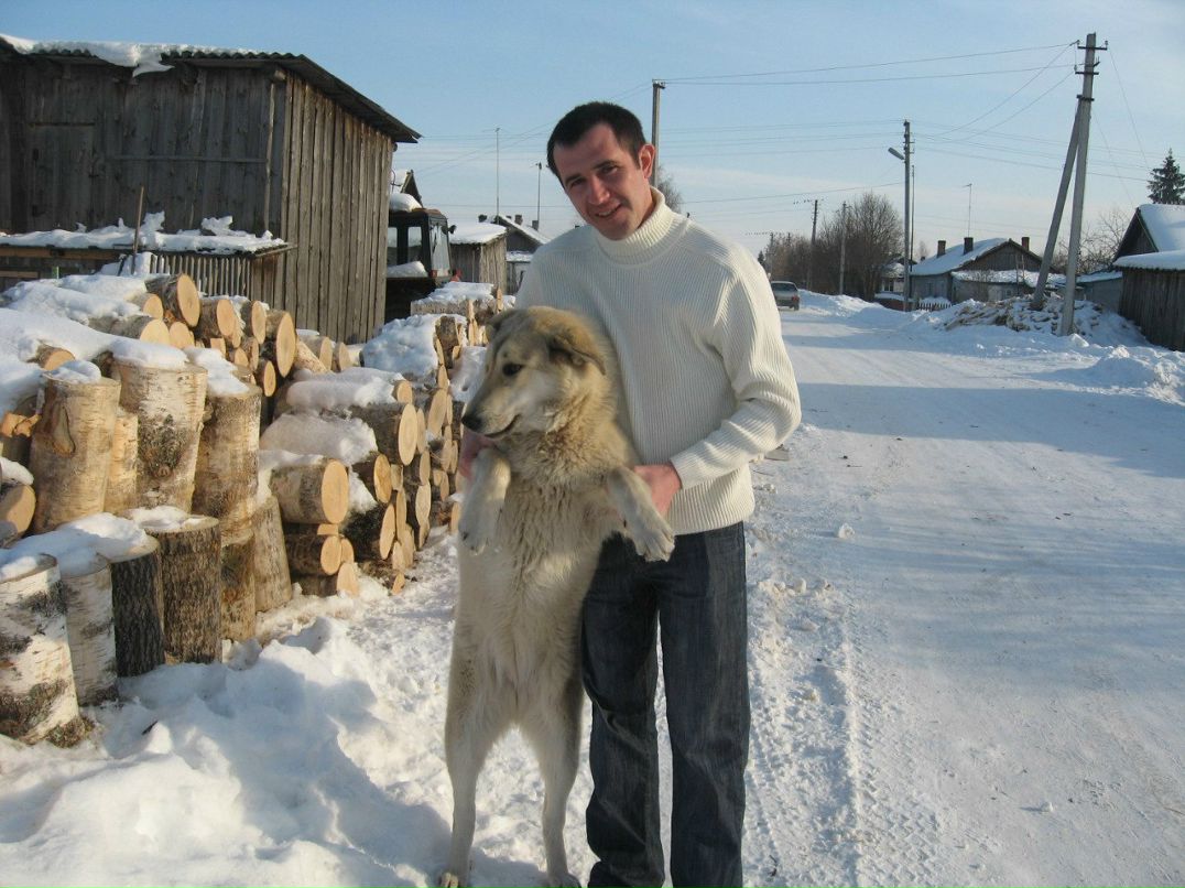 Елена Казнина | Вологда