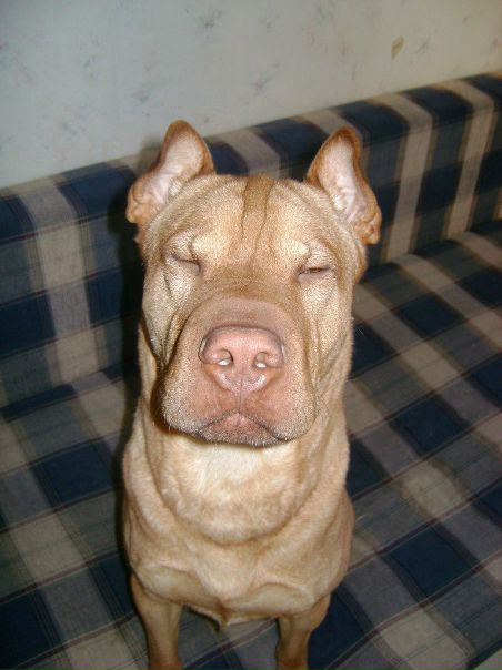 №46, Илья Колясников, Екатеринбург №46, Илья Колясников, Екатеринбург