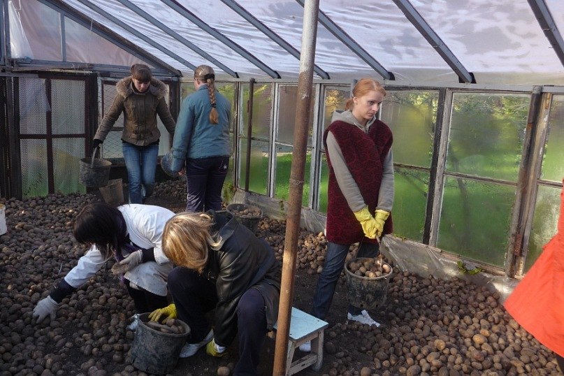 Любовь Грибаускене | Калининград