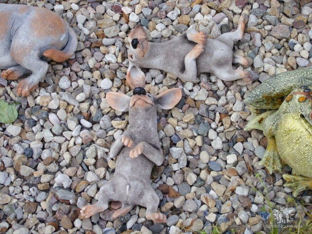 Лана Морева | Ивантеевка