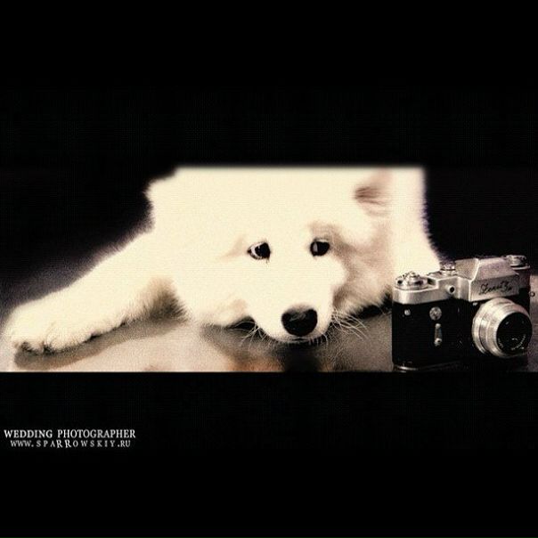 №35, Андрей Спарровский Фотограф, Обнинск №35, Андрей Спарровский Фотограф, Обнинск