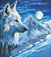 Артур Громов 