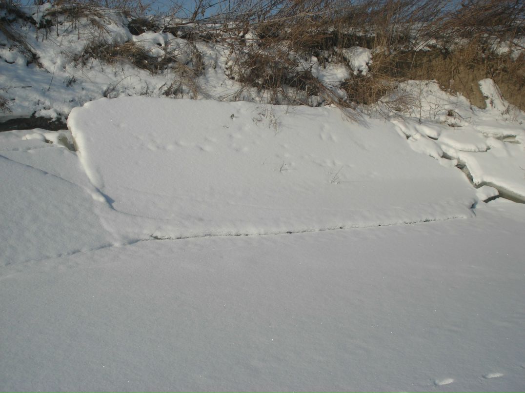 Дмитрий Ганнин | Сумы