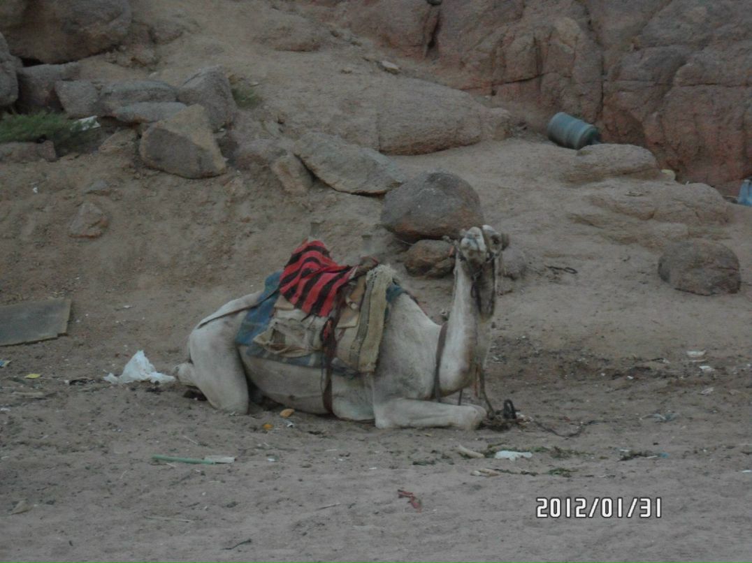 Юра Гемелюк | Киев