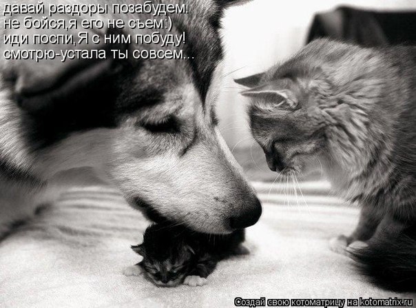 Елена Отрощенко | Сарата