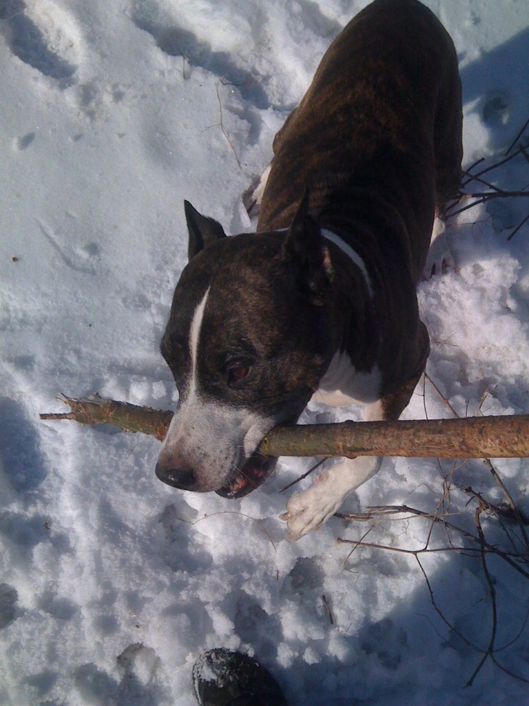 Виктор Пришляк | Кропивницкий / Кировоград