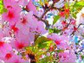 Ксения // | Кунгур (деревня)