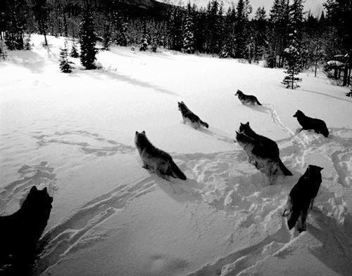 Георгий Усманов | Химки