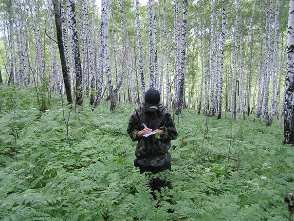 №45, Татьяна Шишкалова №45, Татьяна Шишкалова