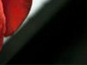 Анна Падалка | Larnaca