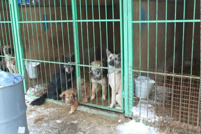 Наталья Петрова | Москва