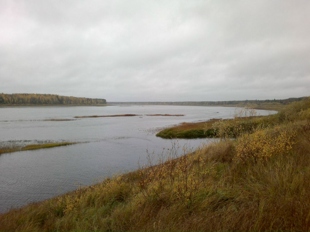Дмитрий Низсковский | Сосногорск
