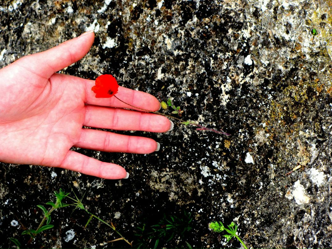 Алексей Костенко | Москва