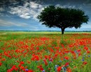 №14 Катя Борисова : профиль, фото, статус - ВКонтакте