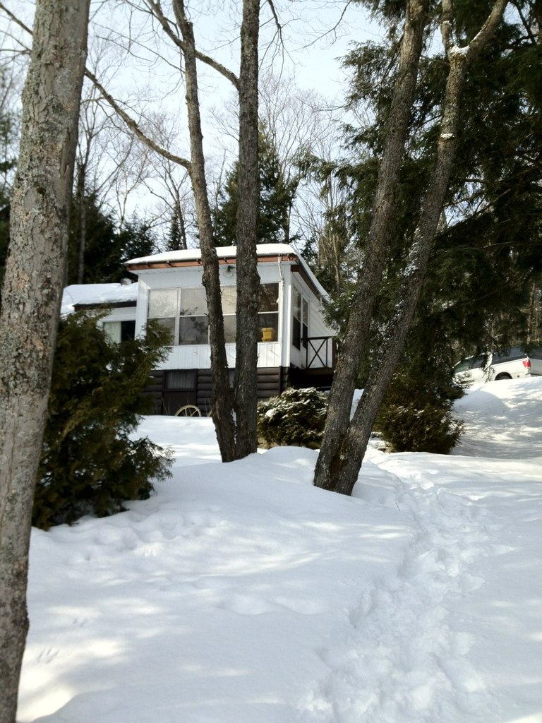 Иришка Малявская | Hamilton