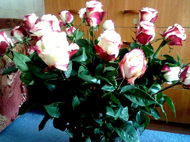 Надя Богачёва | Москва