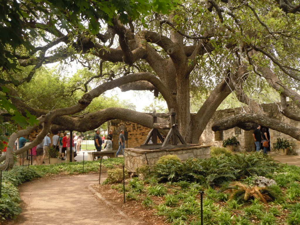 Paytsar Yablukova | New York City