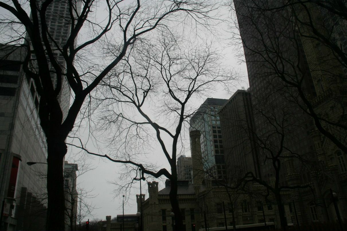 Руслан Печенев | Miami