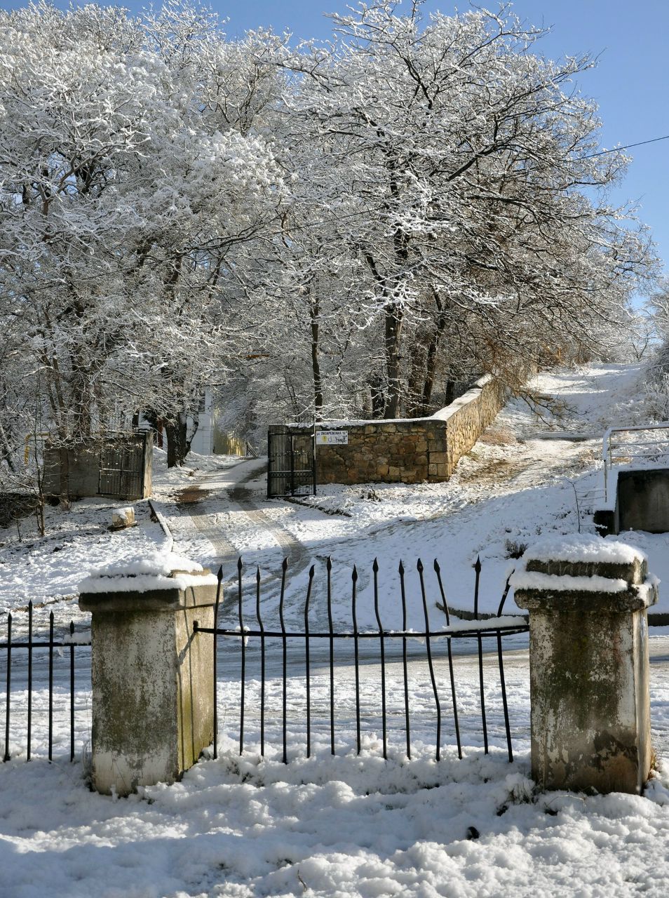Лилия Кондрацкая | Севастополь