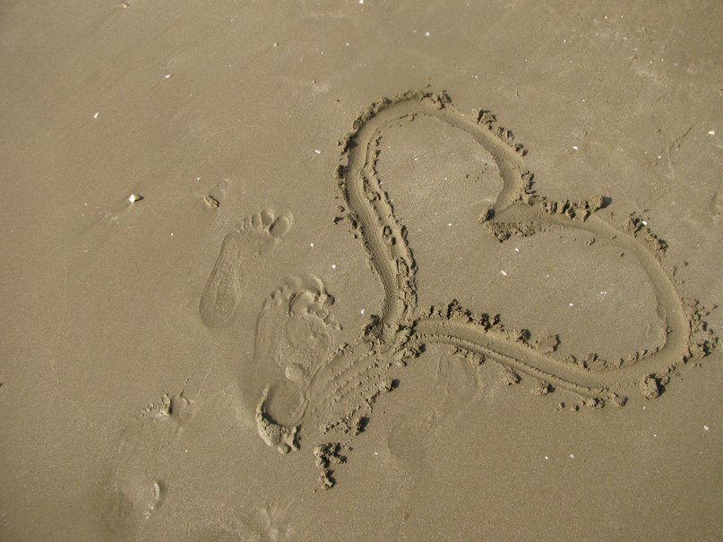 Алёна Петунина | Москва