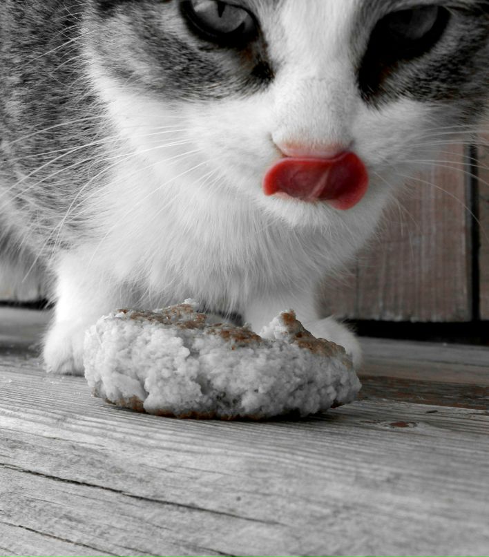 Алсу Галлямова | Казань