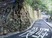 №10 Madi Alpiyev 23.07.1993: профиль, фото, статус - ВКонтакте №10 Madi Alpiyev 23.07.1993: профиль, фото, статус - ВКонтакте