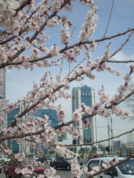 Максим Зайко | Казань