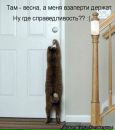 №16 Екатерина Вострокнутова 13.01: профиль, фото, статус - ВКонтакте