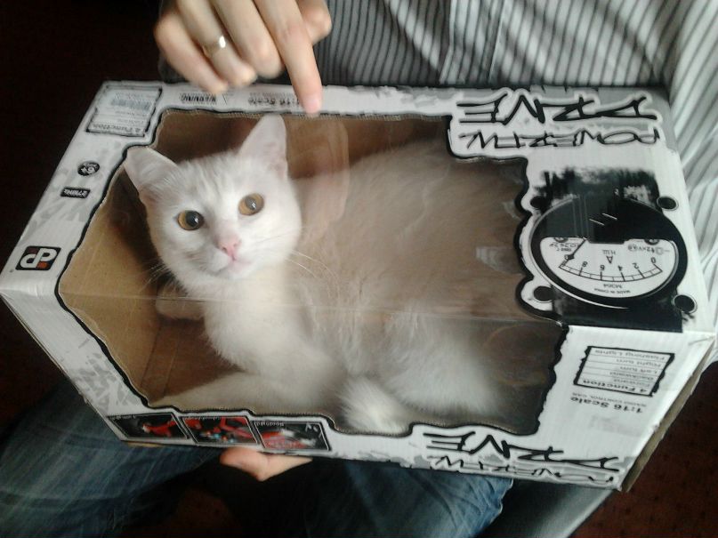 Ольга Авдюнина | Рыбинск