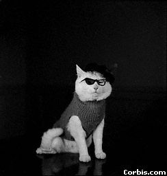 №24, Osama Ghanim №24, Osama Ghanim