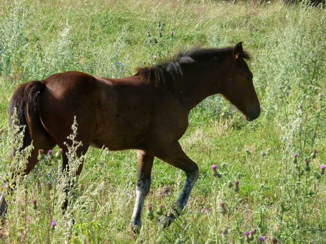 Марина Серина Леонидовна | Новый Уренгой