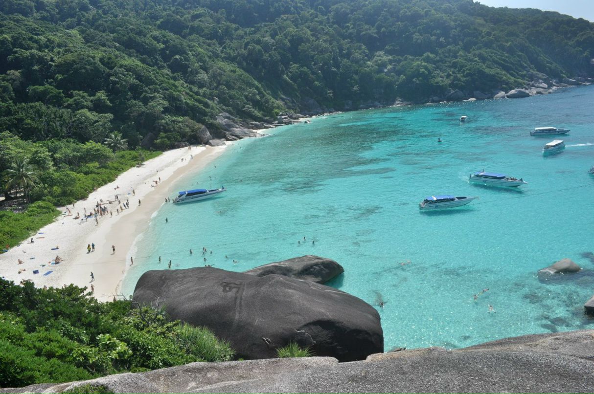 Людмила Сграбилова | Барнаул