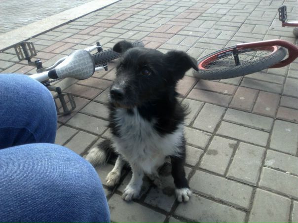 №25, Станислав Мазуркевич, 32 года №25, Станислав Мазуркевич, 32 года