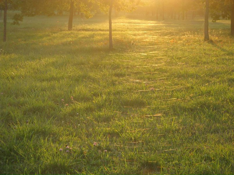 Машусик Сушкова | Минск