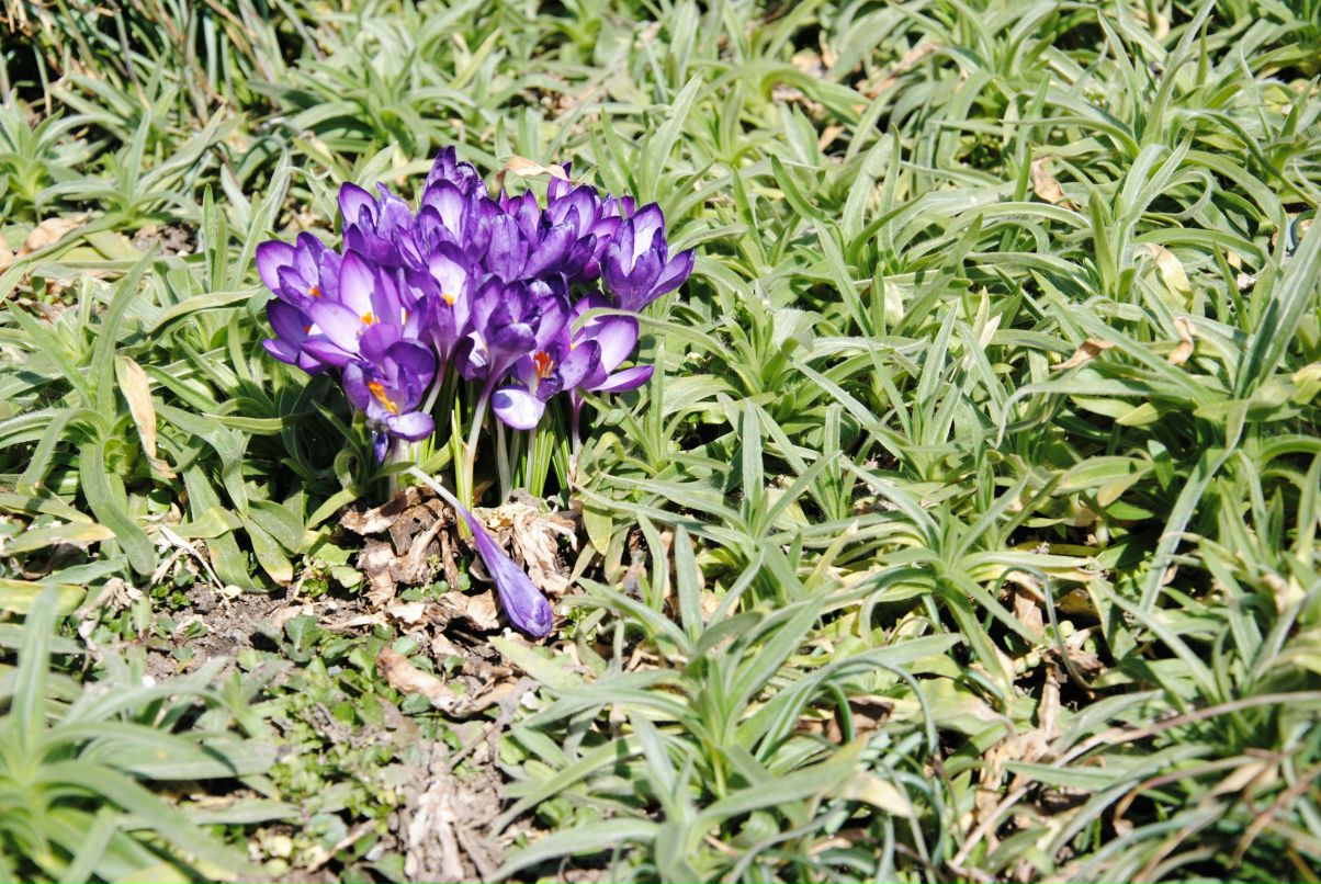 Елена Гусева | Санкт-Петербург