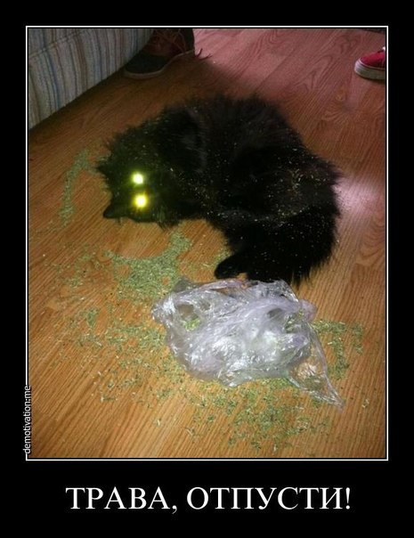 Юра Кисера Angel | Херсон