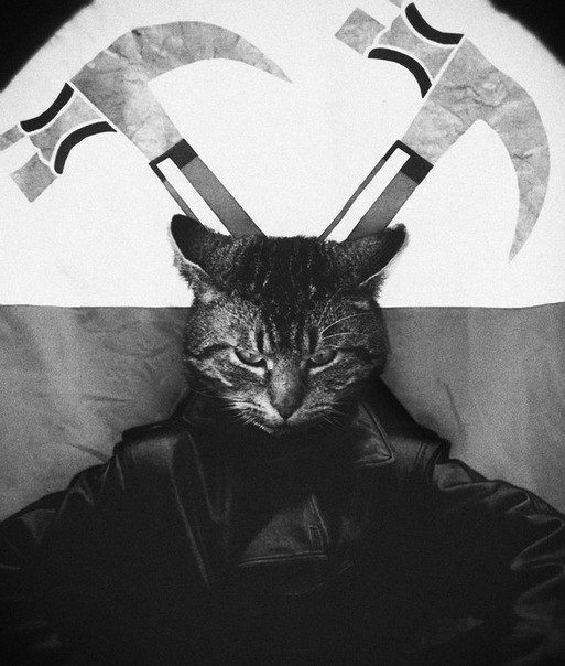 Герман Паю | Каменское / Днепродзержинск