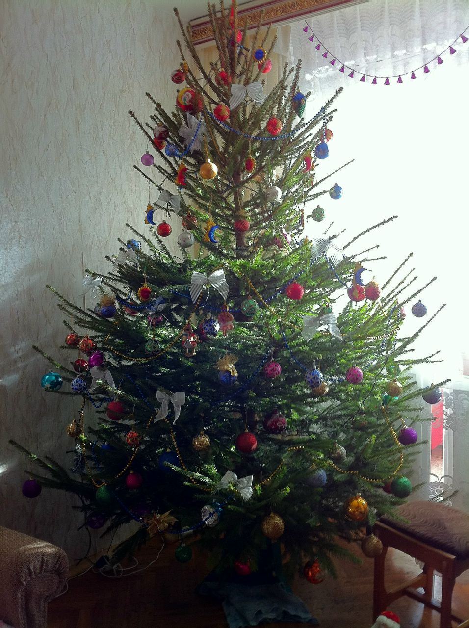 Карина Чижик | Los Angeles