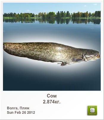 Иван Белозоров | Москва