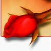 Фотография Кайбышевой Альбины