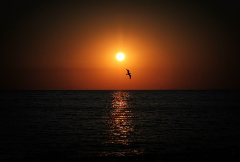 №2, Наталья Федюк №2, Наталья Федюк