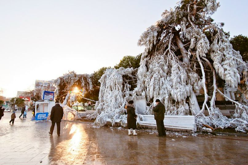 Алёна Кусмарцева Григорьевна | 