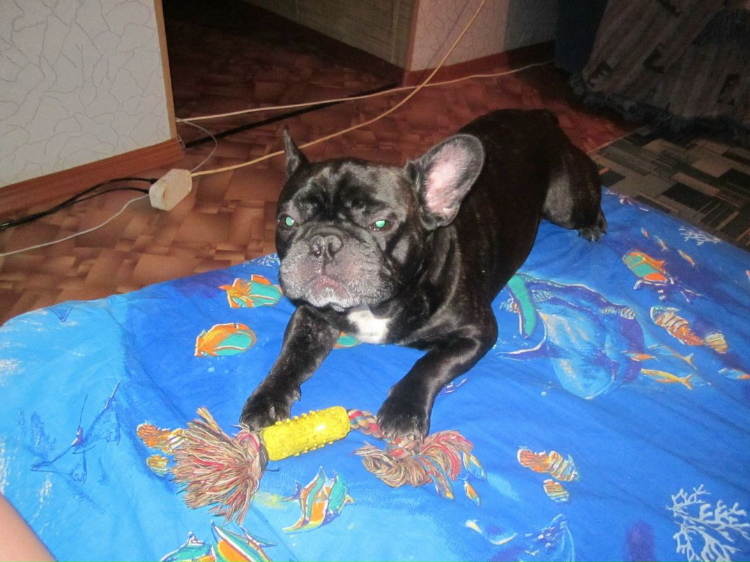 Наталья Телепнева | Нижний Новгород