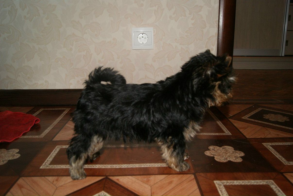 Евгения Рожкова | Самара