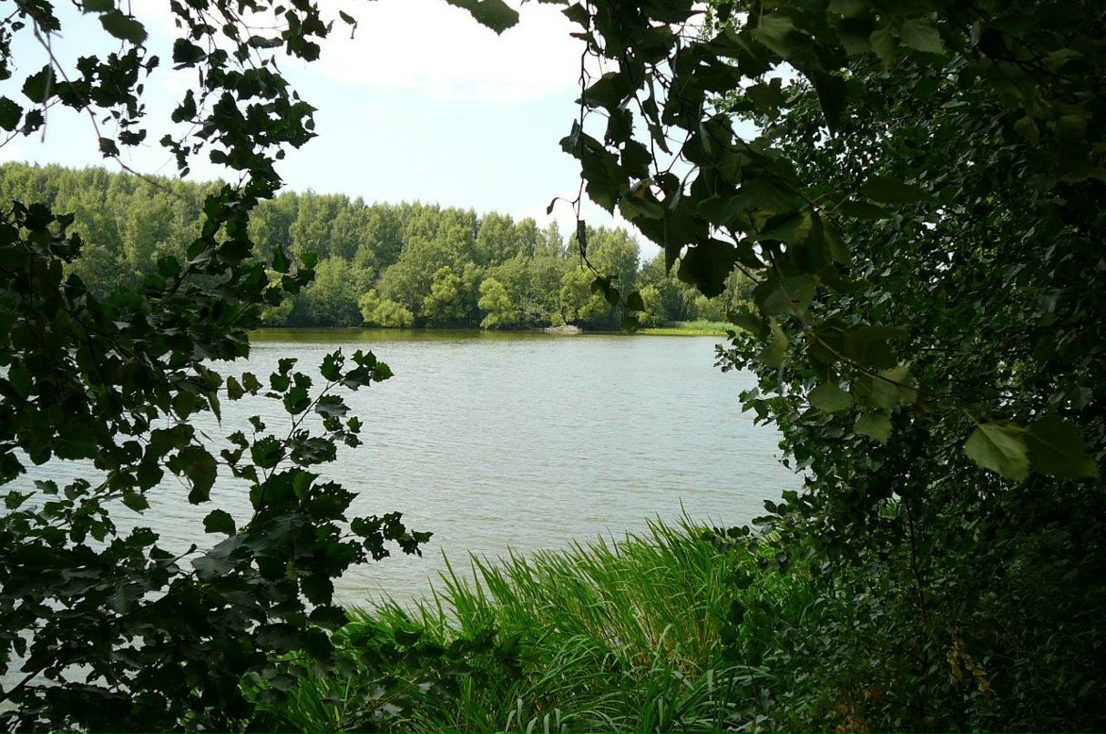 Оксана Кохан | Москва